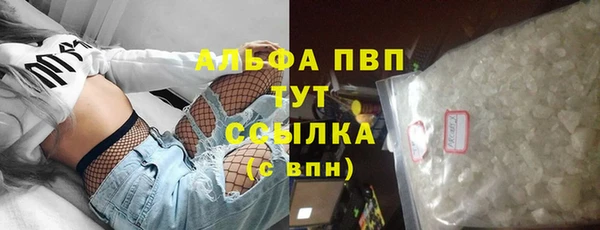 соль ск Ельня