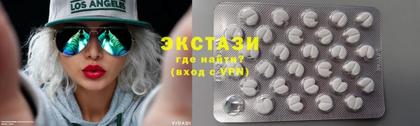 соль ск Ельня