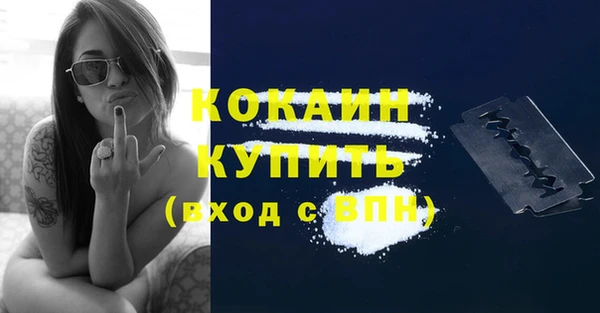 мет Елизово