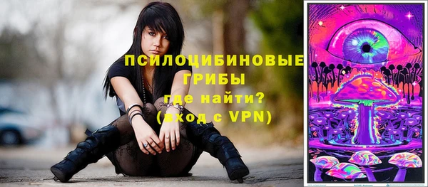 а пвп мука Дмитриев