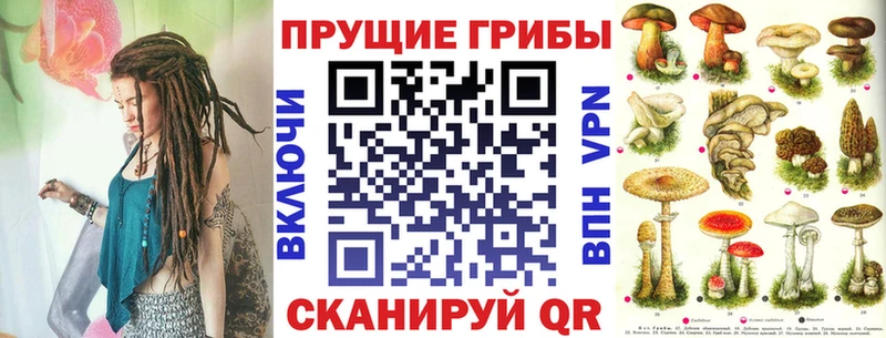 Псилоцибиновые грибы прущие грибы  Купить где  Зубцов 